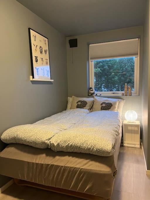Sentralt I Tromso Apartment *